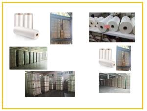China Transparent White BOPP Thermal Lamination Film With Eva Coating For Paper / Plastic wholesale