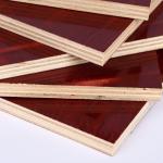 Bridge Construction Birch Faced Plywood 18mm 25mm Birch Plywood