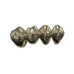 Ultra Hard OEM Polishing Dental Crown Bridge Stain Resistant