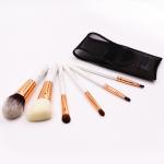 Environmental Protection 6pcs Real Hair Makeup Brush Set Plastic Handle
