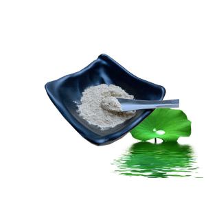 China 50% Lotus Leaf Extract Powder Nuciferine Lose Weight Eliminate Heat Stroke wholesale