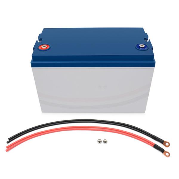 Deep Cycle High Capacity 100AH 12.8V LifePO4 Battery Cell With Monitor For Electric Boat