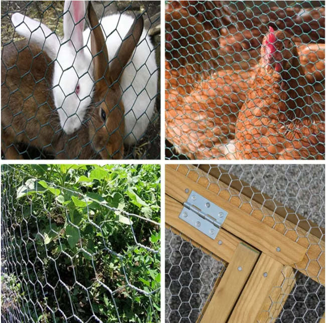 Crab Lobster Fish Trap Chicken Wire Netting Galvanized Hexagonal Wire Mesh