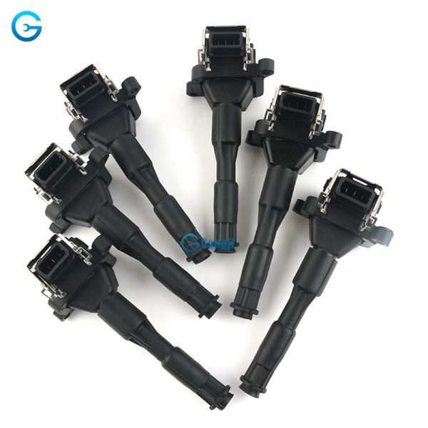 High Quality OEM 12131703227 12131748018 for BMW Ignition Coil 0221504029 Car Parts