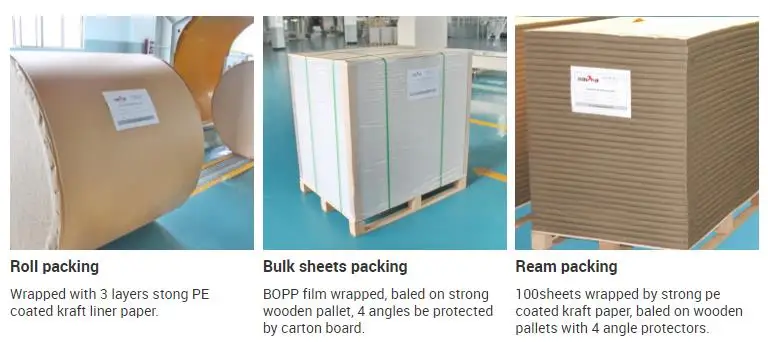 Custom Order Accepted Top Grade Carbonless Paper with Wood Pulp
