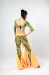 2pcs Animal Printed Belly Dance Training Wear With Pants & Bras Belly Dance