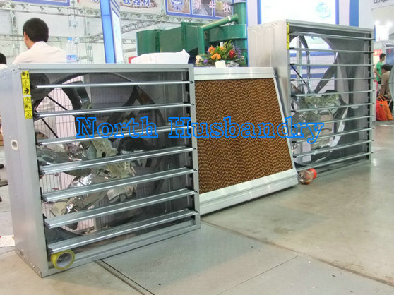 Poultry Housing Tips | Poultry Environmental Management