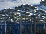 6000mm Agricultural Greenhouses Photovoltaic Mounting System Farm Shed