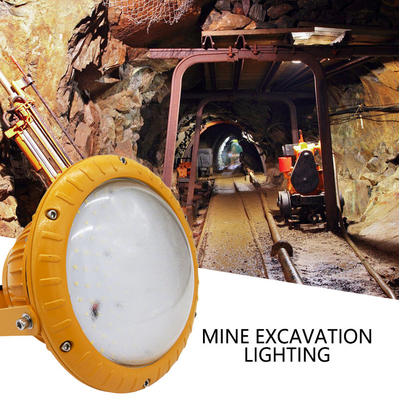 Customized Explosion Proof LED Lamp Anti Corrosion Grade WF2 2700K - 6500K