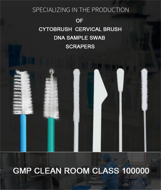 ISO13485 Disposable Endocervical Brush And Spatula