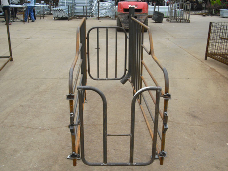 Customized Size Pig Gestation Crates φ32*2.5mm Steel Tube Material Space Saving