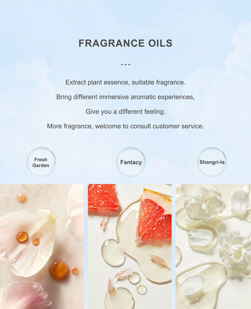 OEM Luxury Scent Diffuser 800ml Portable Air Humidifier Aroma