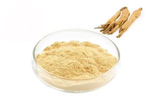 China Health Care Improving Immune Root Ginseng Extract Powder wholesale