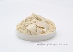 Water Insoluble Dried Vital Wheat Gluten Protein Powder 25 Kg / Bag