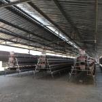 Layer Egg Poultry Battery Chicken Cage Farm House 4 Tiers For Nigeria Africa