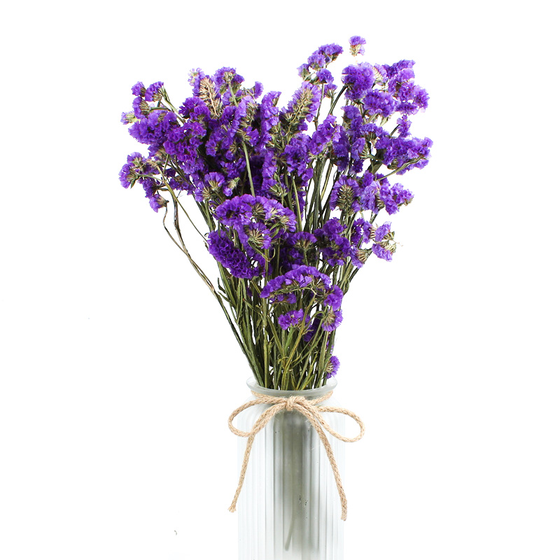 Forget Me Not Limonium Statice Flower , Everlasting Preserved Fresh Flower