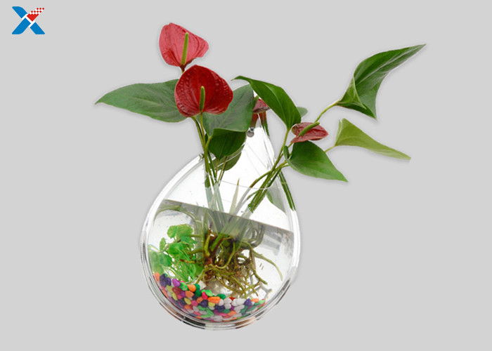 Clear Acrylic Drip Wall Hanging Fish Tank Aquarium / Custom Acrylic Fish Tanks