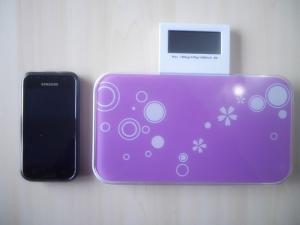 China Health Meter Digital pocket travel Scale wholesale