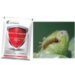 Bacterial Bacillus Thuringiensis Tea Tree Insecticide For Killing Nematode
