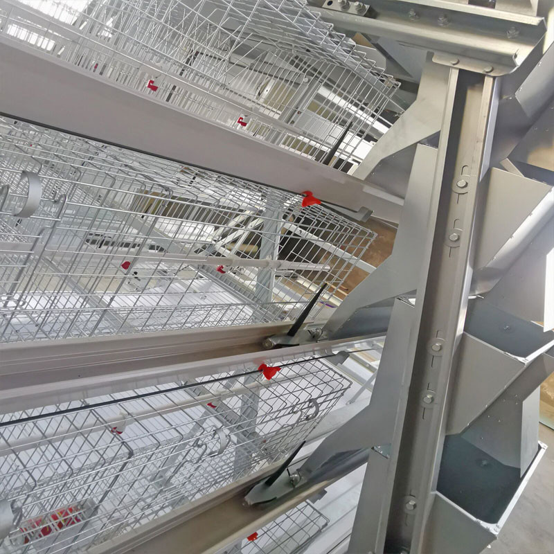 Baby Chick Cage With Full Automatic System For Farm