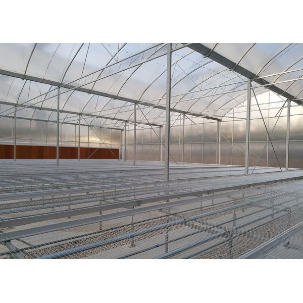 Single Layer Greenhouse Hydroponics System Wrought Iron Greenhouse With Film Surface
