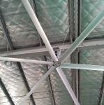 AWF49 Large Ceiling Fans / Big Industrial Ceiling Fans With 6 Blades