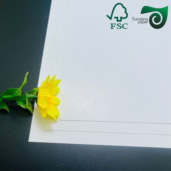 FSC A4 Size Non Tearable Coated Synthetic Paper For Laser Printing 0.13mm 0.2mm Thickness