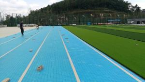 China 8mm 15mm 30mm Artificial Grass Drainage Underlay For Turf Shock Pad FIFA Standard wholesale