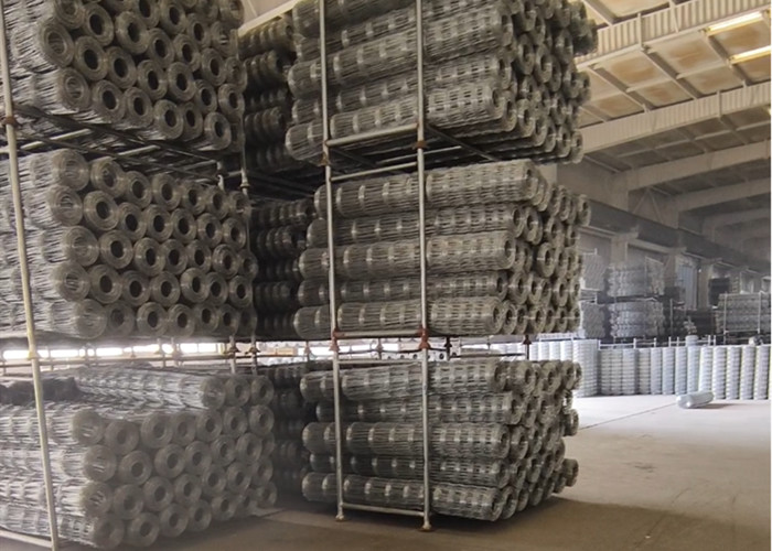 Galvanized Iron Wire Farm Mesh Fence Silver Color With Hot Dipped Zinc Coating For Easy Installation