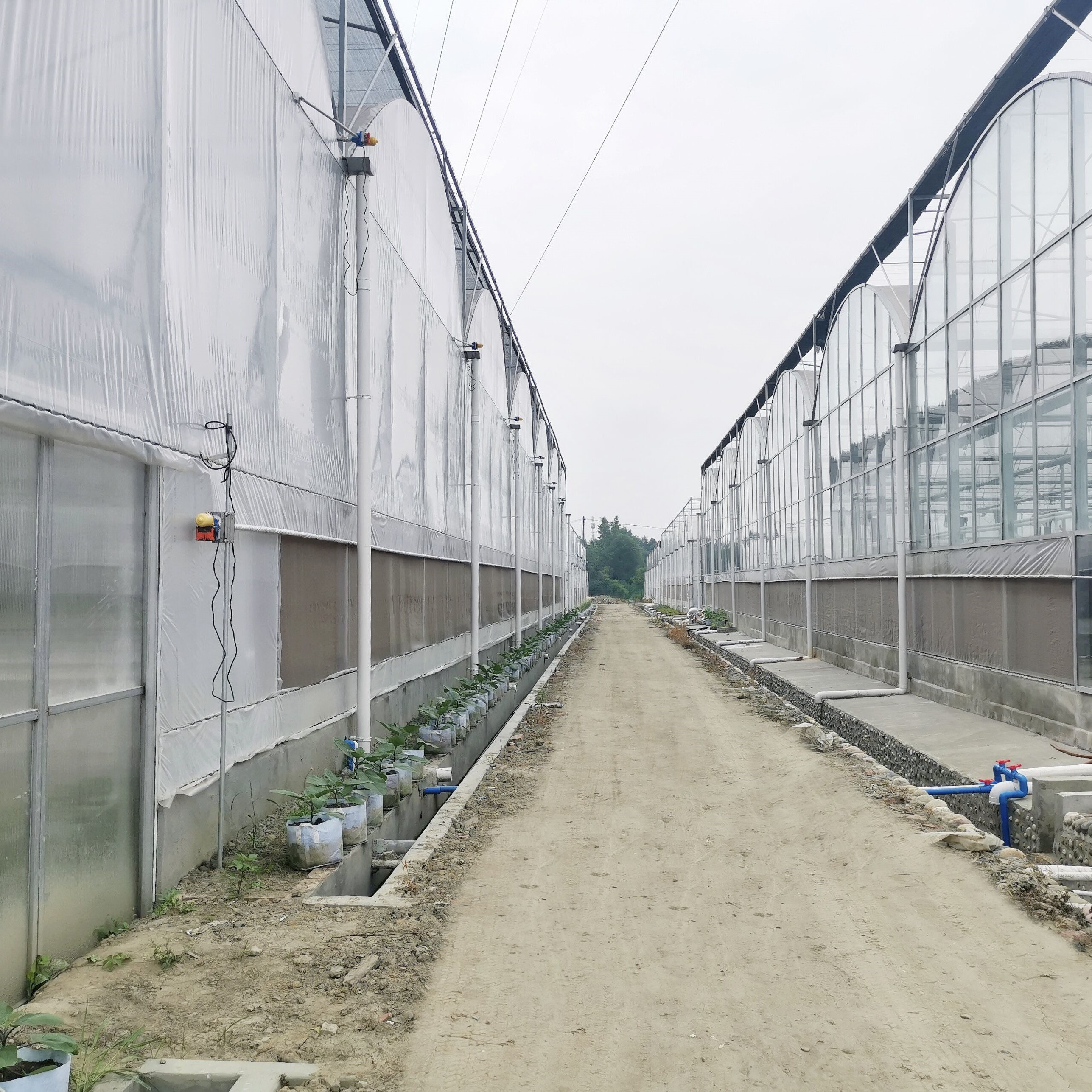 Hydroponic Growing Systems Greenhouse Low Cost Greenhouse Agriculture Plastic Greenhouse