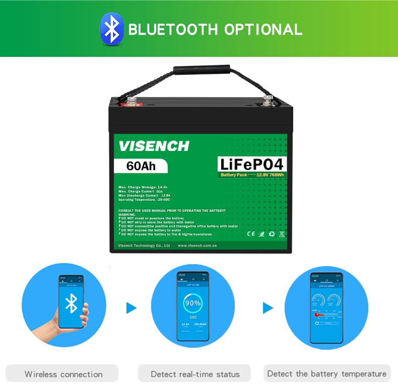 VISENCH BMS Deep Cycle Storage Energy System 12V 60Ah LiFePO4 Rechargeable Lithium iron Phosphate Battery