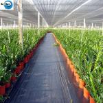 Wholesale Amazon Weed Barrier Weed Control Ground Cover Membrane Landscape