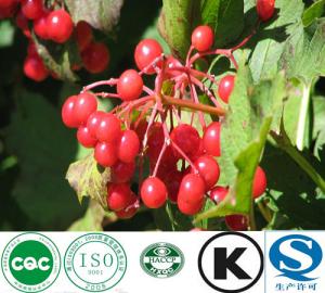 China Natural Factory Supply Cranberry Extract wholesale