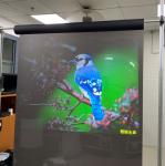 Projection Screen Vinyl Fabric Korea Touch Transparent Rear Projection Film
