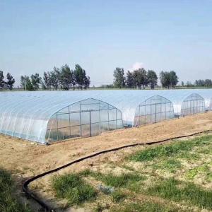China Agriculture Vegetable Growing Hoop House Film Tunnel Greenhouse wholesale