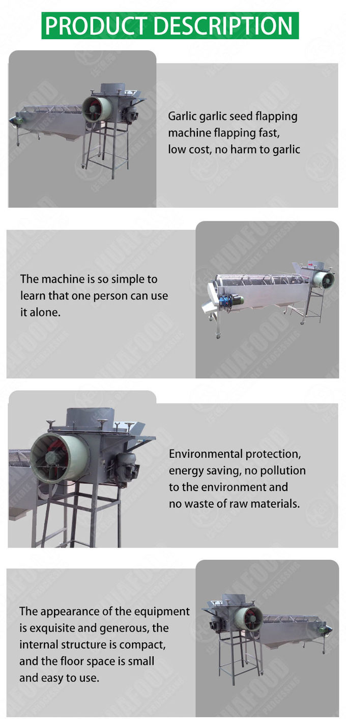 1000kg/h Automatic Food Processing Machines Garlic Peeling Grading Sorting Machine