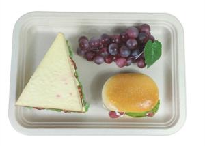 China Rectangle Biodegradable Food Trays wholesale