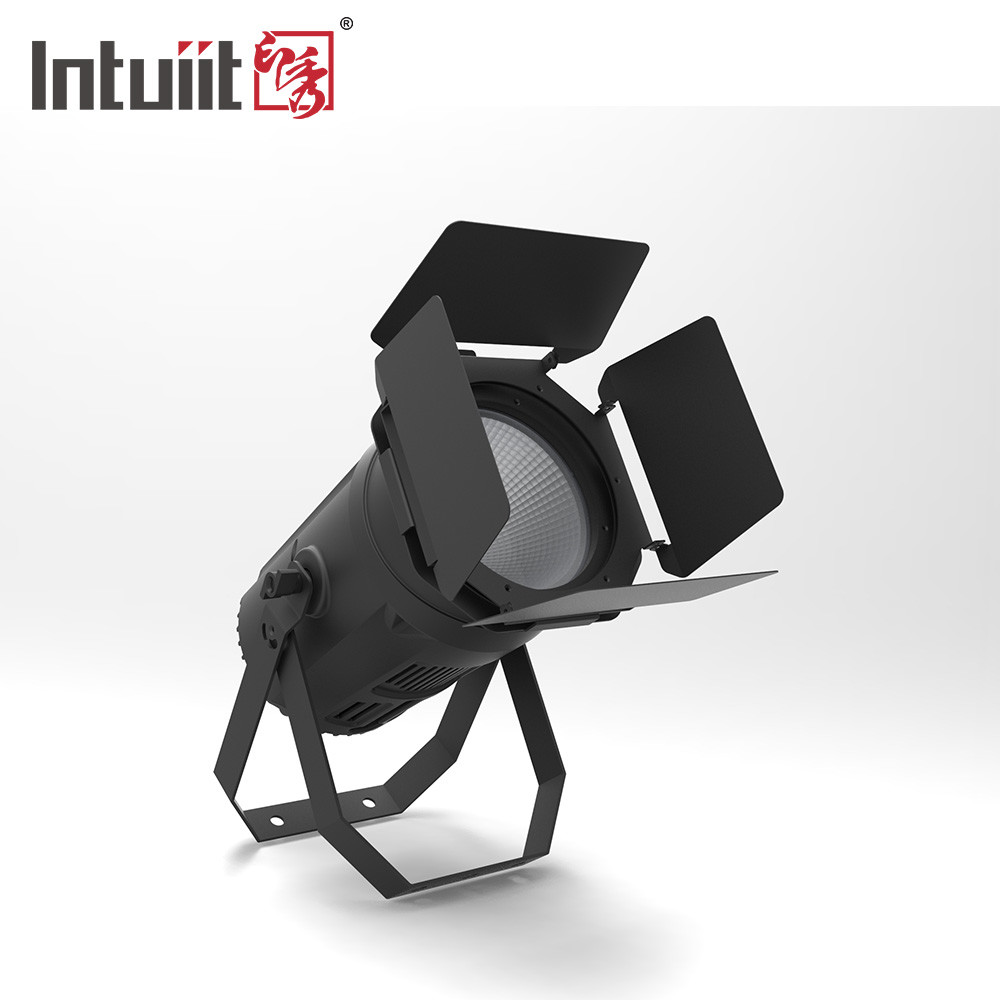 Indoor Die Casting Cob LED Par Light 200w Rgbw 4 In 1 Professional Stage Lighting