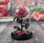 Hot sale Natural Fresh flower rose in big long glass dome Home Decoration and