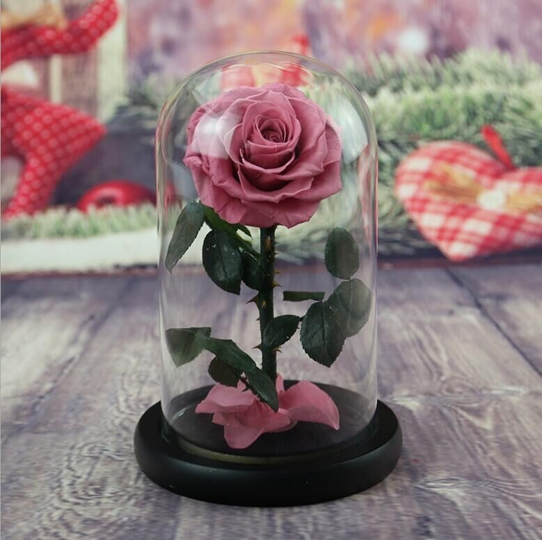 Preserved Fresh Flower Live Enchanted Rose in Glass Dome Cover with Gift Box Forever Real Rose Everlasting Flower