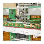 H Type Automatic Layer Poultry Farming Equipment Battery Chicken Egg Layer Cage