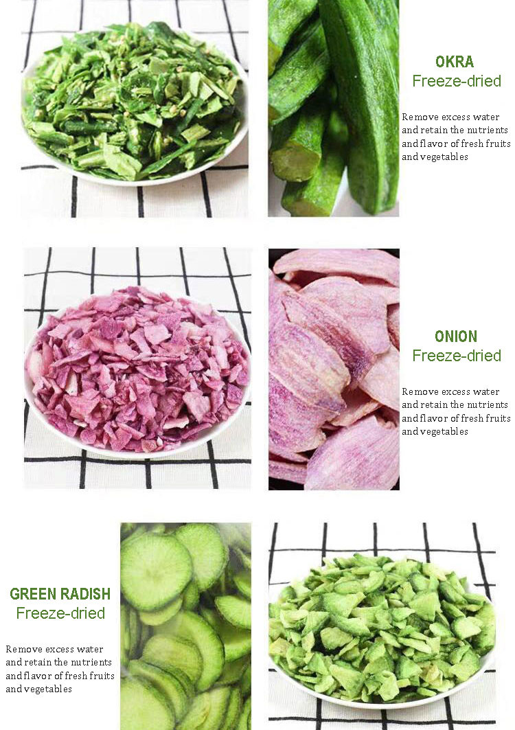 Vegetable Fruit Slices Freeze Drying machine Freeze Dried Processing Equipment