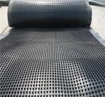 Waterproof Storage Drainage Isolation Dimple Drainage Board Effective Root