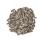 Buy high-quality sunflower seed raw materials from China at the lowest wholesale