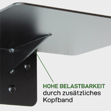 Offering Small Animals the Opportunity to Climb and Observe Black Powder Coated Design