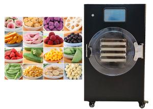 China 2Kg 4Kg Electric Heating Home Freeze Dryer Lyophilization Machine wholesale