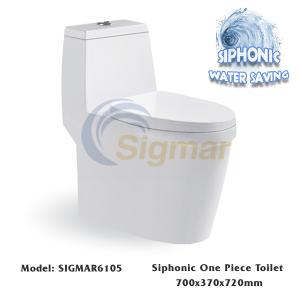 China SIGMAR6105 Sanitary Ware Bathroom Closestool Washdown One-Piece Toilet Bowl wholesale