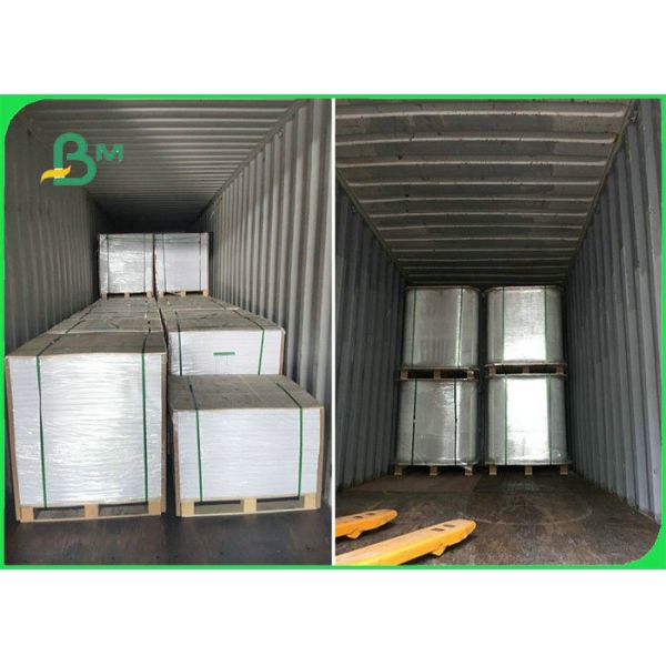 50gsm 60gsm 70gsm Oil - proof Single PE Coated Paper Roll For Packing Food 50gsm 60gsm Oil - proof Single PE Coated Paper Roll For Packing Food