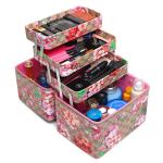 Aluminum professional beauty make up case