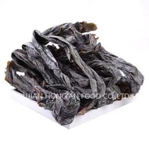 China Authentic Dried Kombu Kelp Umami Taste Compressed Kelp Salted Sprouts wholesale